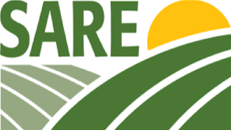 Group Banner Picture